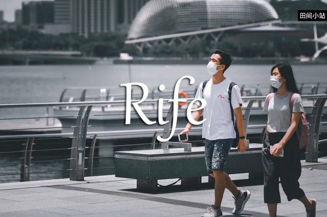 小词详解 | rife