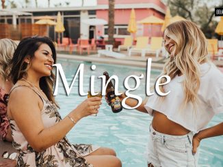 小词详解 | mingle