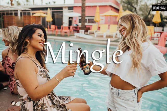 小词详解 | mingle