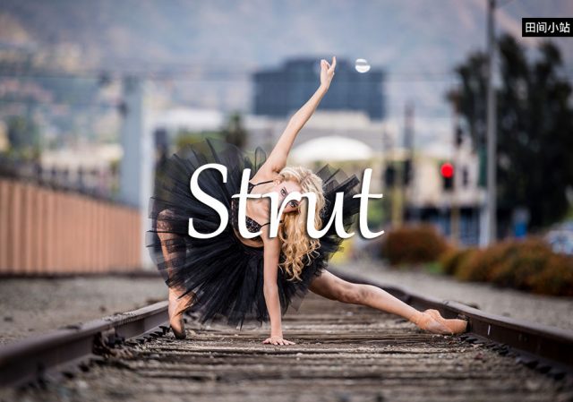 小词详解 | strut