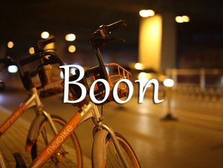 小词详解 | boon