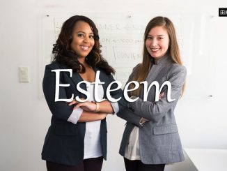 小词详解 | esteem