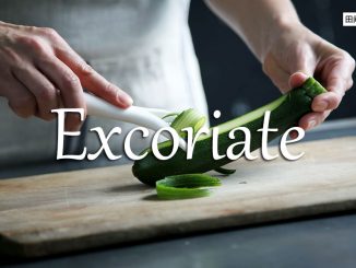 小词详解 | excoriate