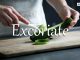 小词详解 | excoriate