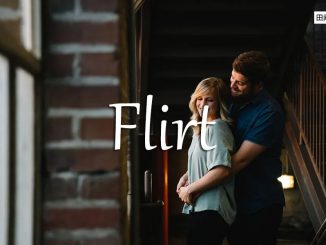 小词详解 | flirt