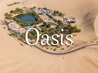 小词详解 | oasis