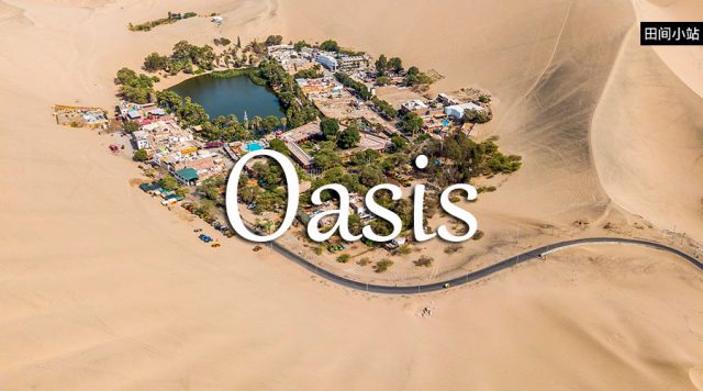 小词详解 | oasis