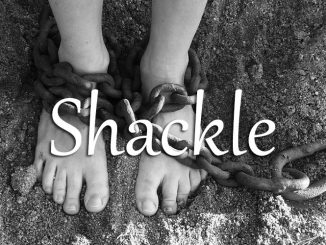 小词详解 | shackle