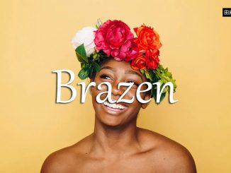 小词详解 | brazen