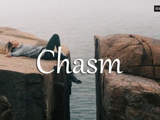 小词详解 | chasm