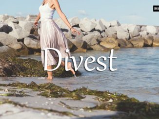 小词详解 | divest