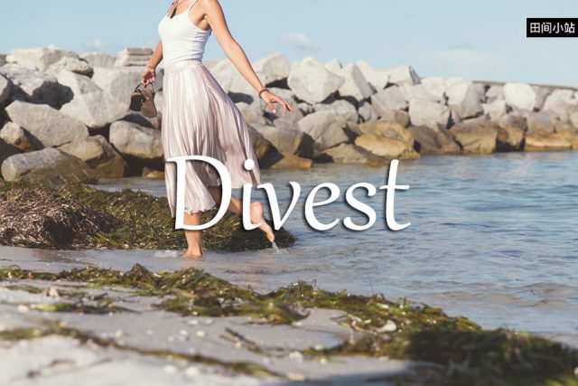 小词详解 | divest