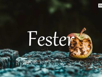 小词详解 | fester