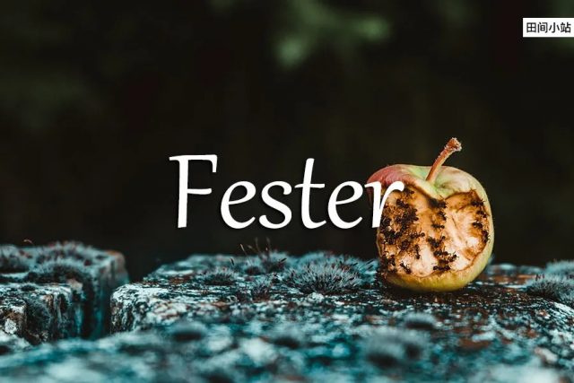 小词详解 | fester