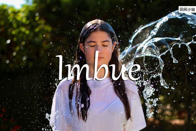 小词详解 | imbue