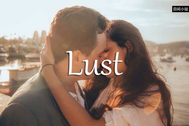 小词详解 | lust