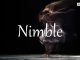 小词详解 | nimble