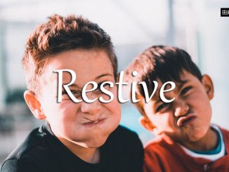 小词详解 | restive