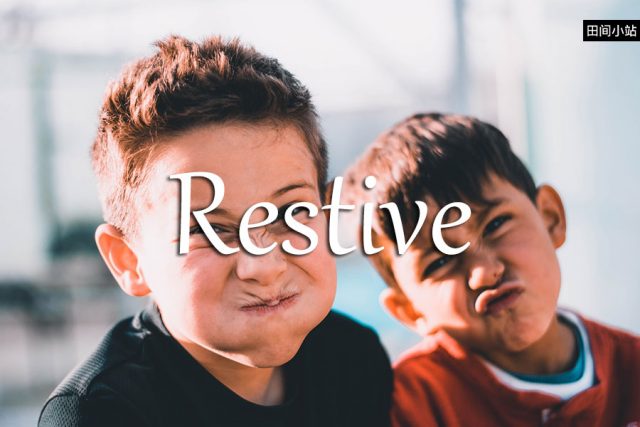 小词详解 | restive