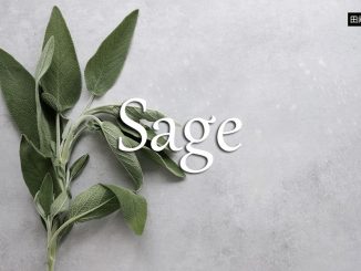 小词详解 | sage