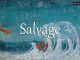 小词详解 | salvage