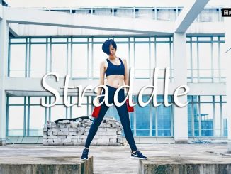 小词详解 | straddle