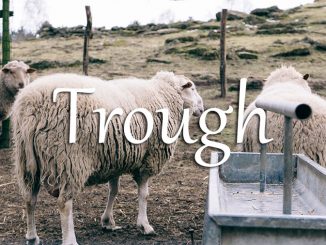 小词详解 | trough
