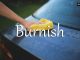 小词详解 | burnish