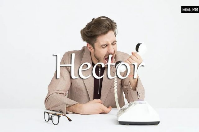 小词详解 | hector