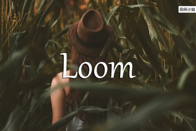 小词详解 | loom