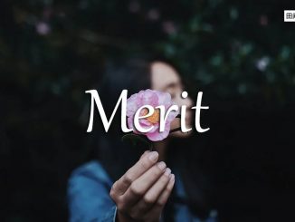 小词详解 | merit