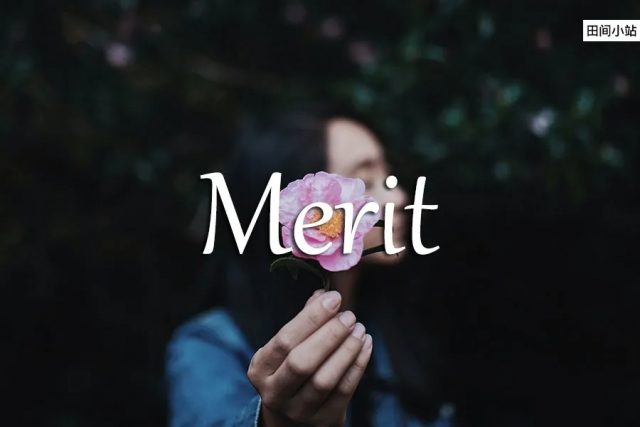 小词详解 | merit