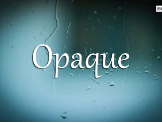 小词详解 | opaque