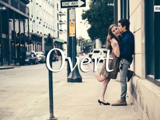 小词详解 | overt