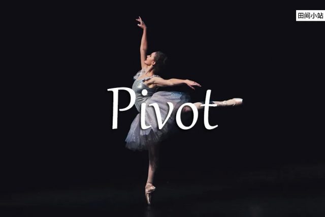 小词详解 | pivot