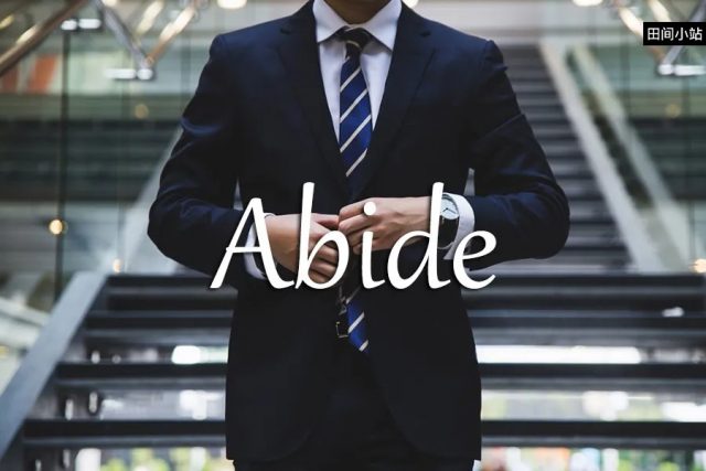 小词详解 | abide