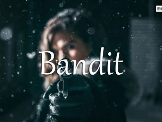 小词详解 | bandit