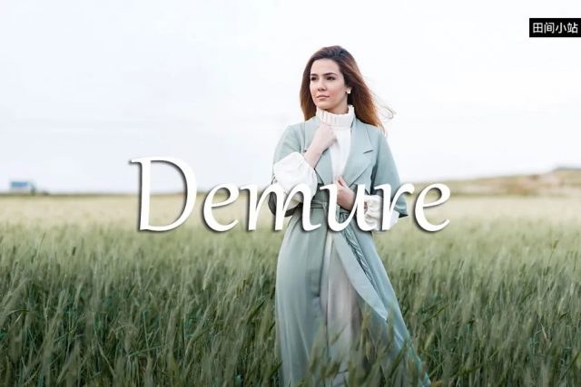 小词详解 | demure