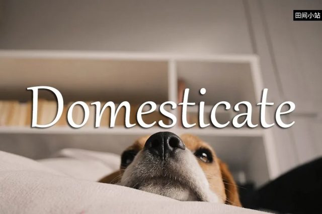 小词详解 | domesticate