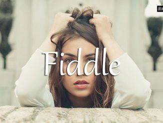 小词详解 | fiddle