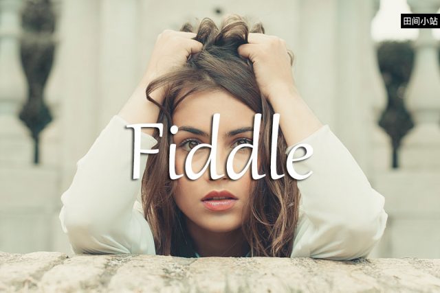 小词详解 | fiddle
