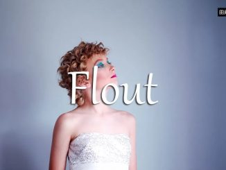 小词详解 | flout