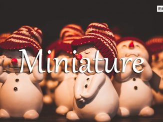 小词详解 | miniature