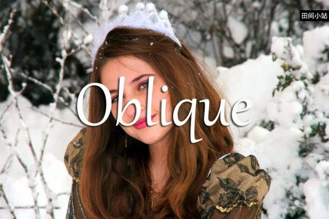 小词详解 | oblique