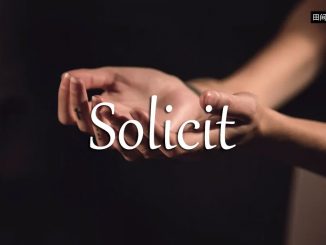 小词详解 | solicit