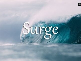 小词详解 | surge
