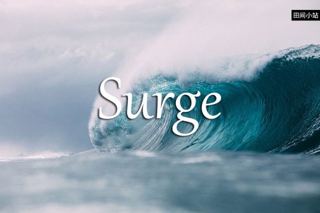 小词详解 | surge