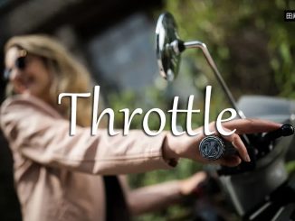小词详解 | throttle