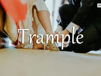 小词详解 | trample