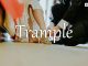 小词详解 | trample